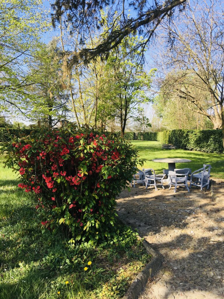 garden