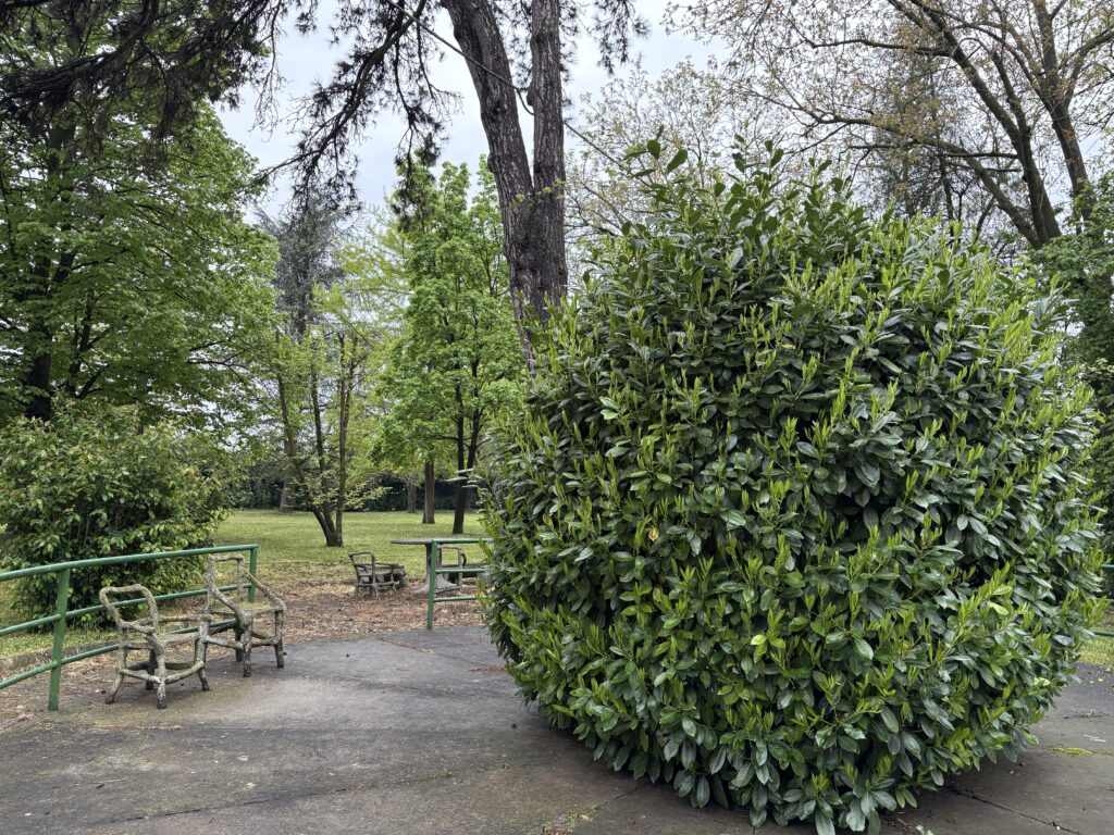 garden13