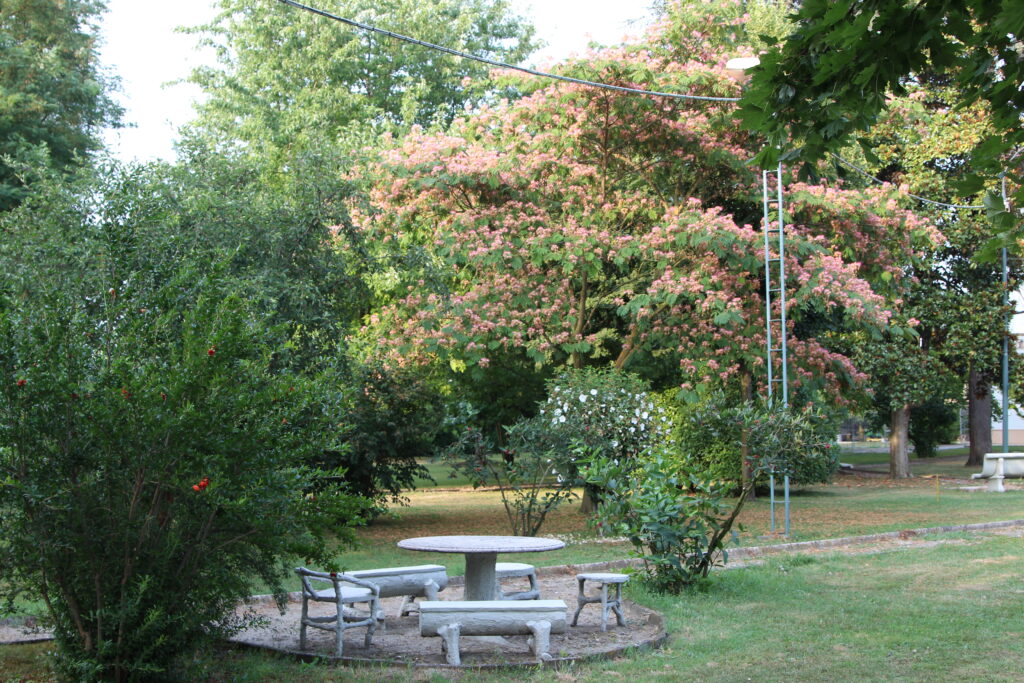 garden3