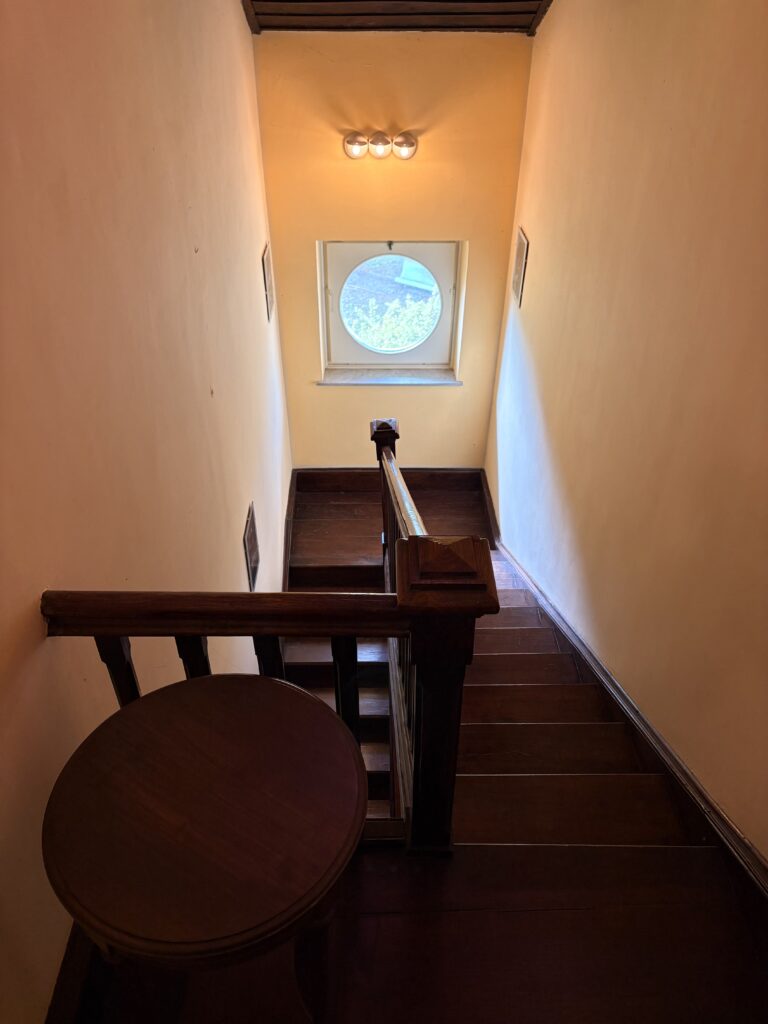 wooden ladder