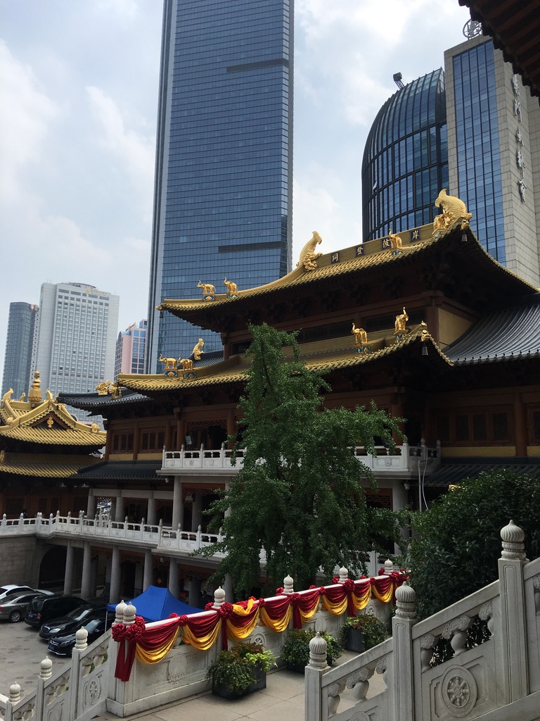 SHANGHAI25
