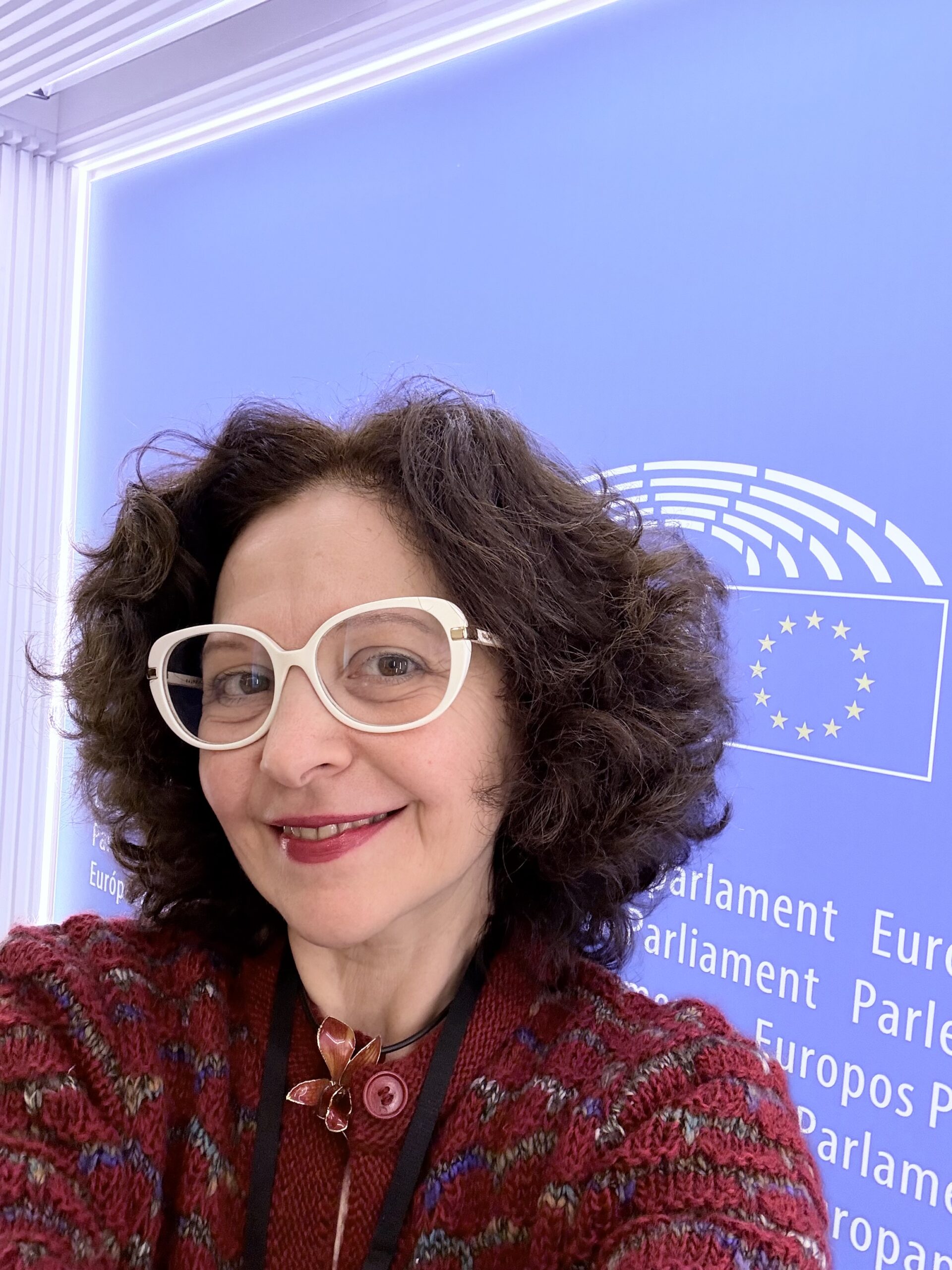 The EU Textile Strategy: Balancing Environmental Ambition with Economic Reality-The Swiss Dilemma—